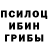 Псилоцибиновые грибы Cubensis ThiJu B