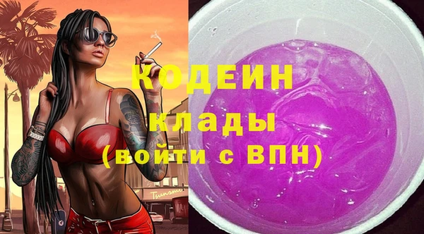 стаф Балахна