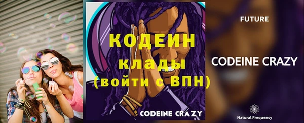стаф Балахна