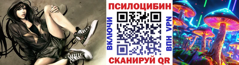 наркотики Новозыбков Галлюциногенные грибы прущие грибы