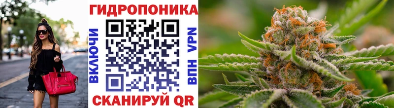 Конопля OG Kush  Новозыбков 